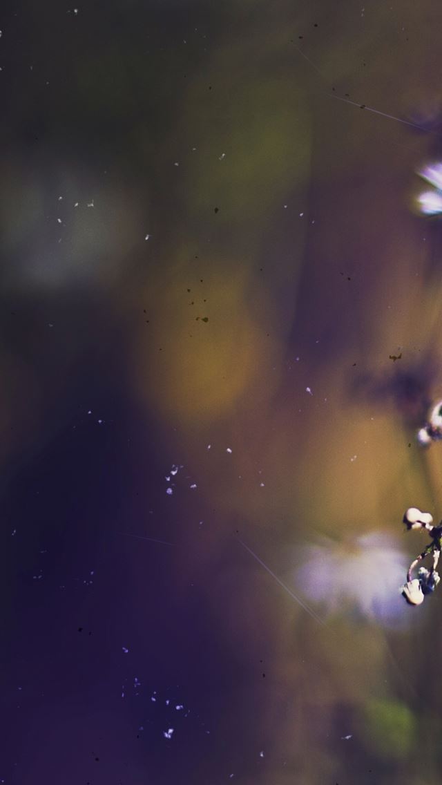 640x1136 Bokeh - bokeh iPhone Wallpaper