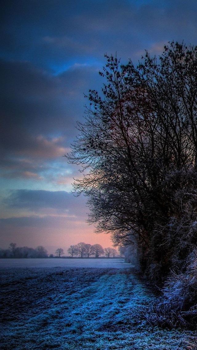 640x1136 Frosty Sunset -  iPhone Wallpaper