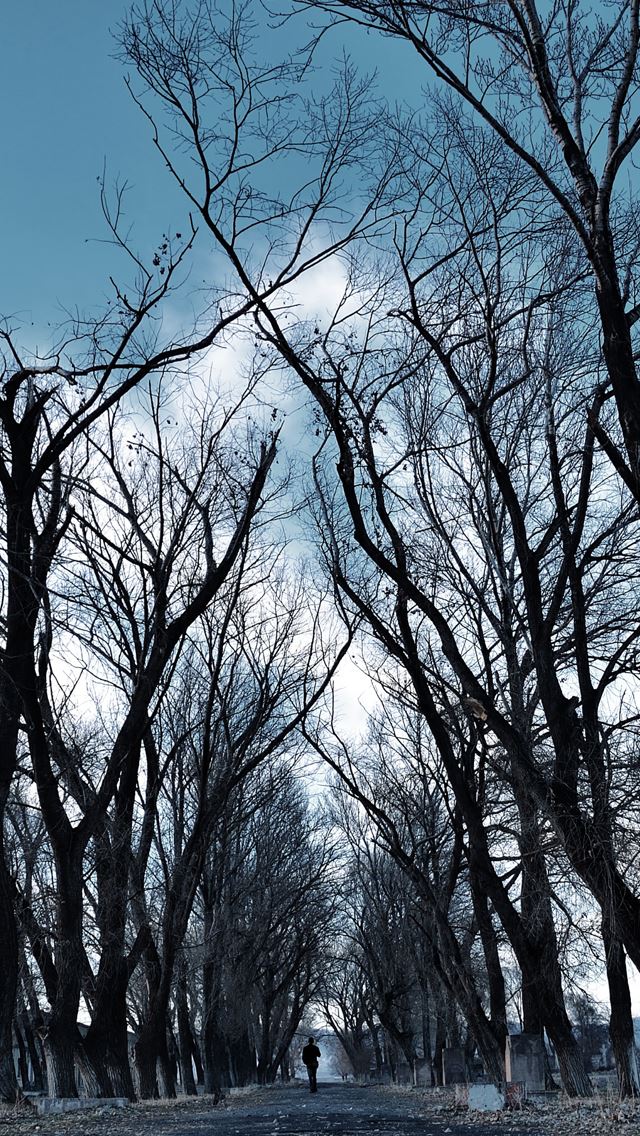 640x1136 Armenia gyumri - road iPhone Wallpaper
