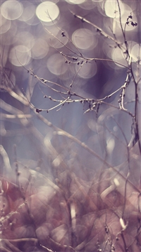 Waking dreams wallpaper