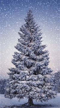 Winter Screensavers For Iphone