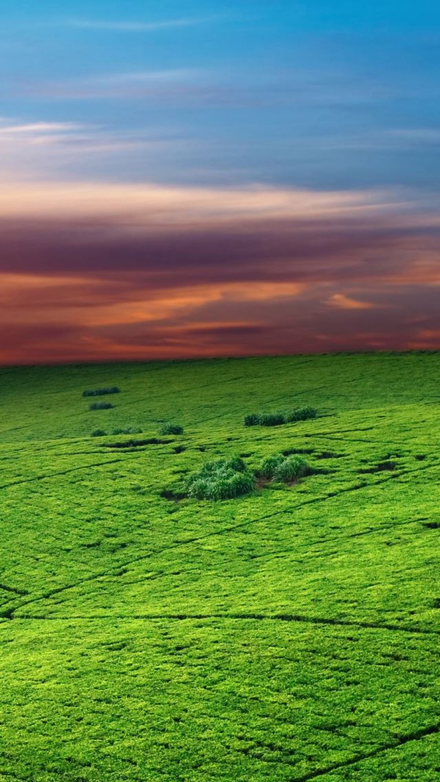 640x1136 Green valey -  iPhone Wallpaper