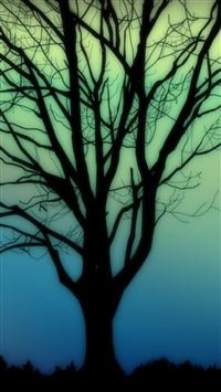 Silhouettes tree wallpaper