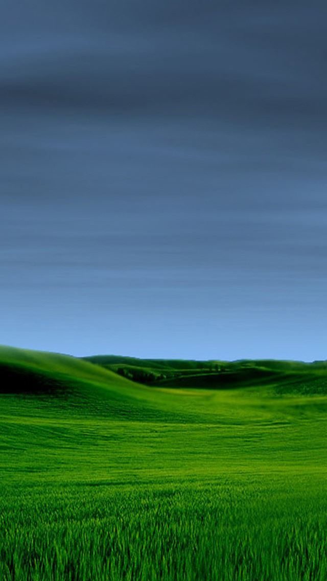 1284x2778 Grass - sky iPhone Wallpaper