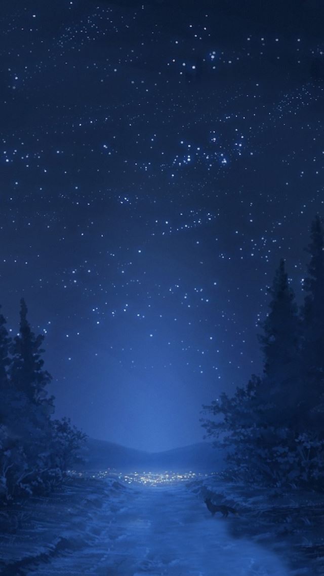 1284x2778 Night sky - road iPhone Wallpaper