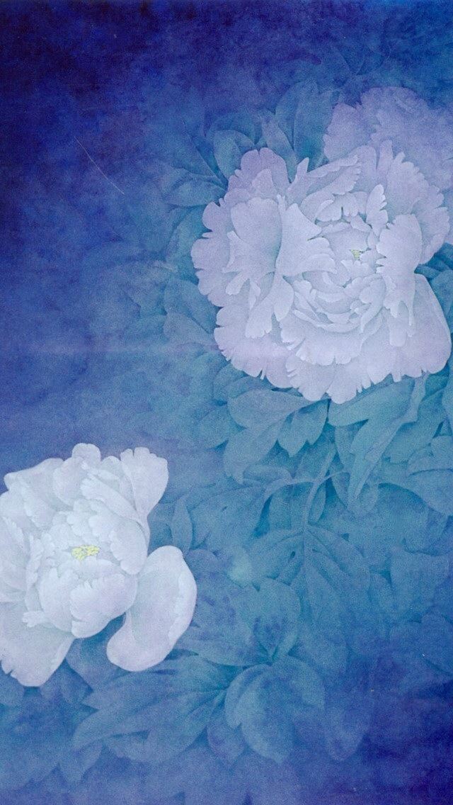 640x1136 White Peony - peony iPhone Wallpaper