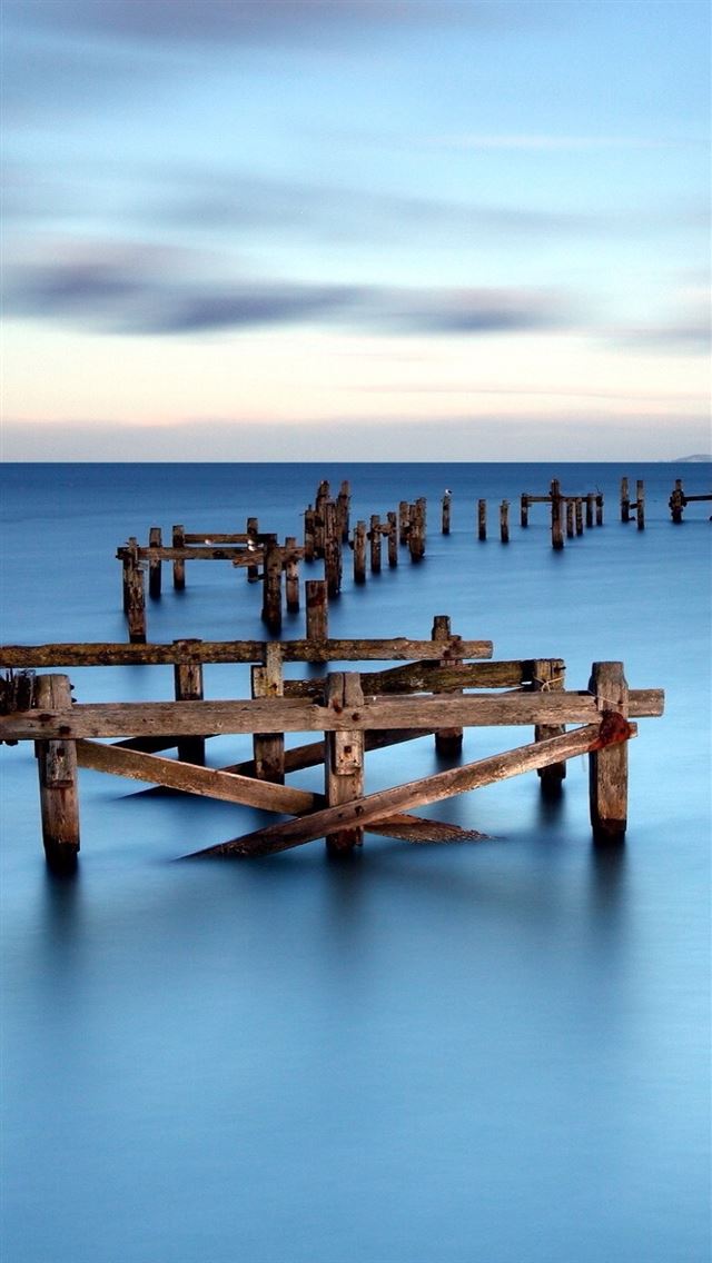 785x1392 Sea deadwood -  iPhone Wallpaper