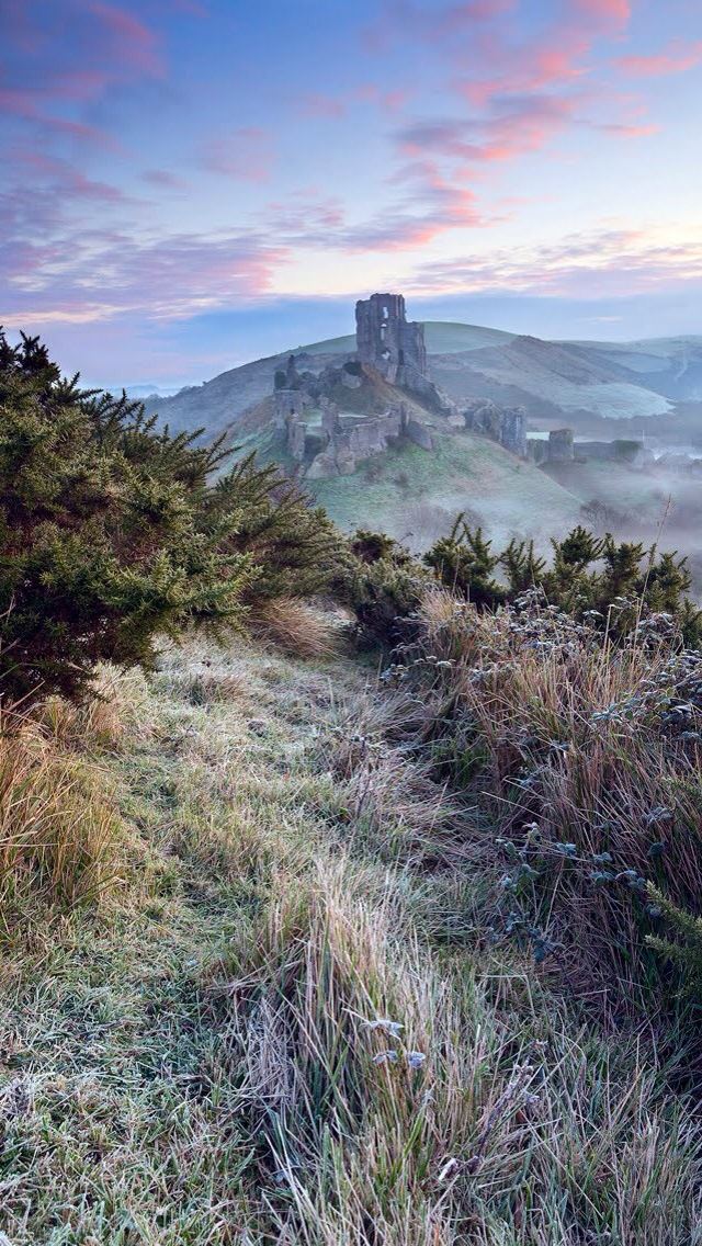 640x1136 Hillside weed - hillside iPhone Wallpaper