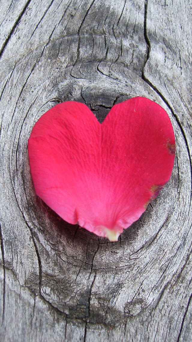 640x1136 heart shaped petal on wood - heart iPhone Wallpaper