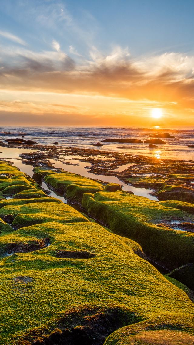 640x1136 Pacific ocean green rocks - sunrise iPhone Wallpaper