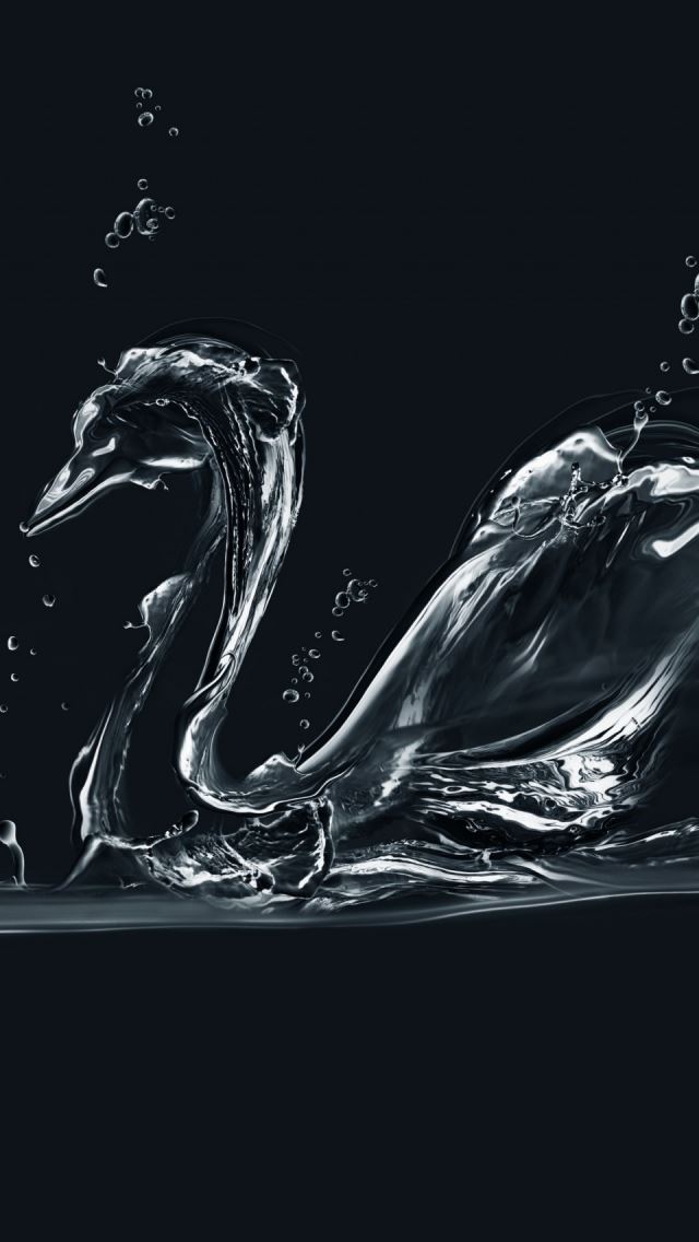 640x1136 Water Swan - bubble iPhone Wallpaper