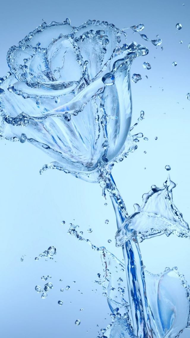 640x1136 Water Flowers - bubble iPhone Wallpaper