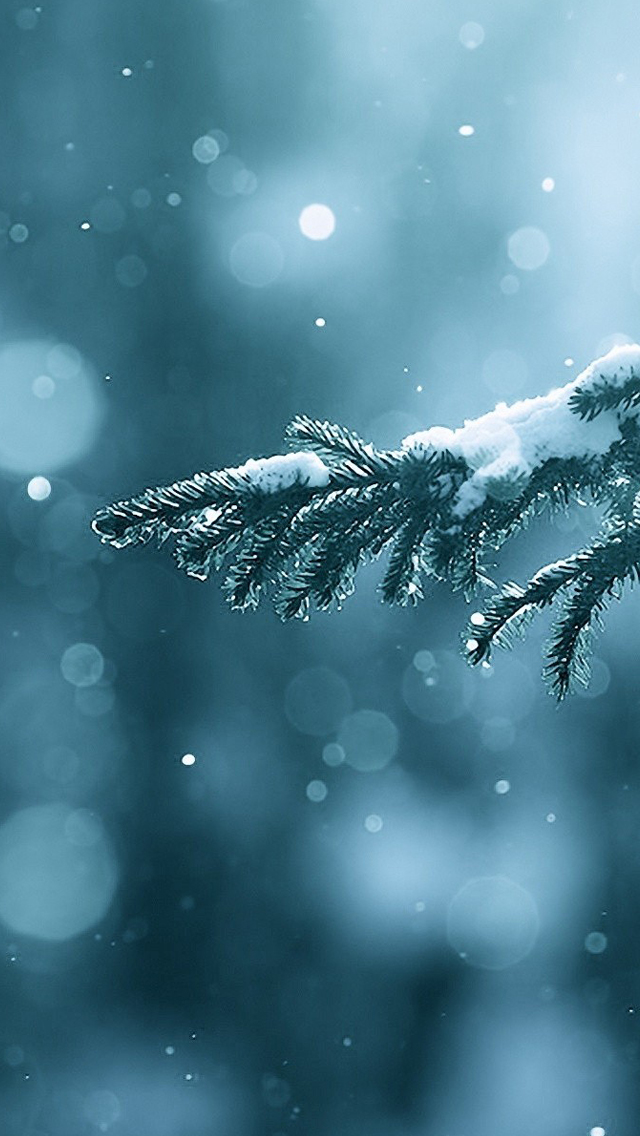 Winter Snowflake 4K Ultra HD Mobile Wallpaper