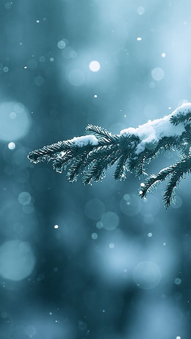 640x1136 Winter Season Snow Trees Lens Flare - trees iPhone Wallpaper