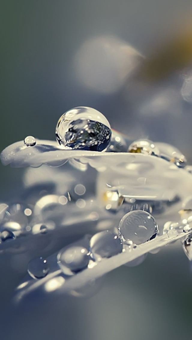 640x1136 Earth Water Drops -  iPhone Wallpaper