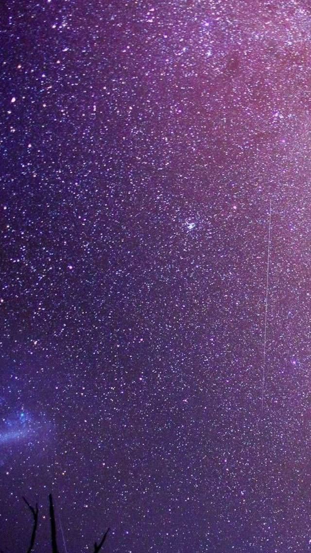 640x1136 Milky Way Above The Trees - trees iPhone Wallpaper