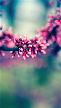 Beautiful Spring Colours wallpaper