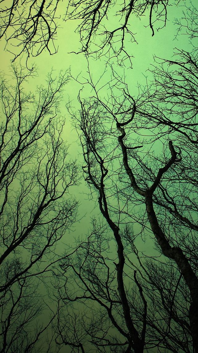 640x1136 Green sky -  iPhone Wallpaper