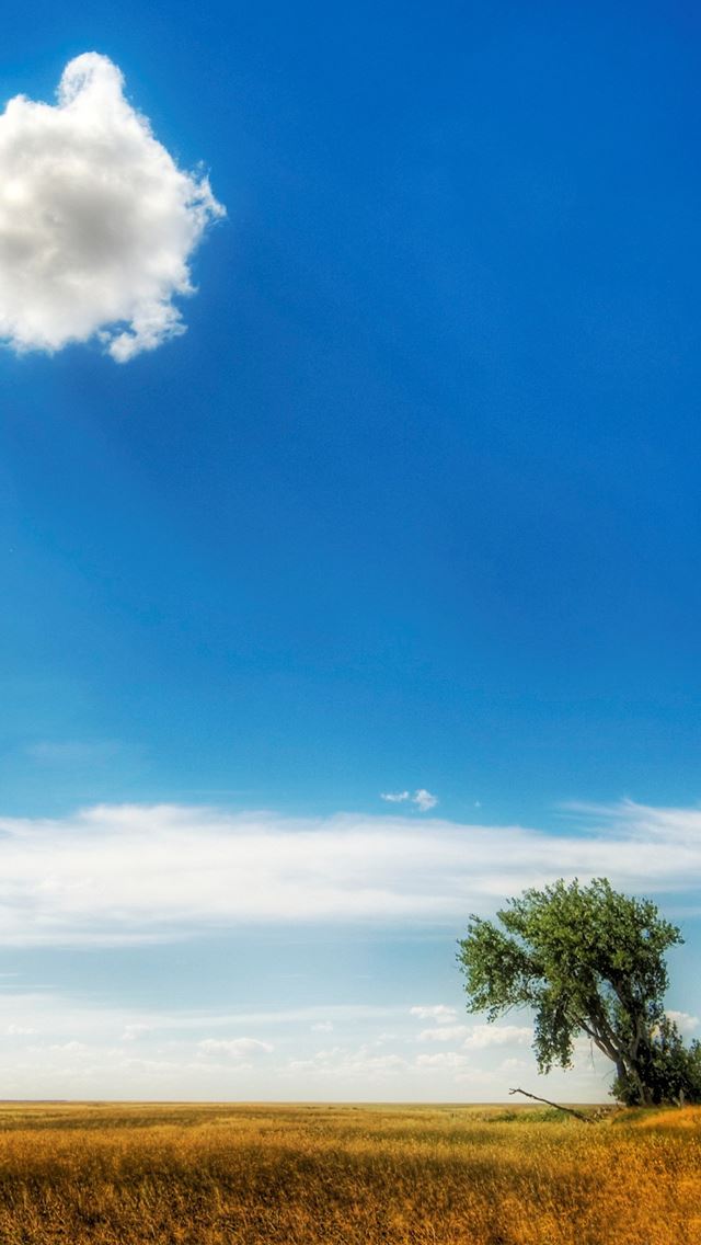 640x1136 Warm day - farm iPhone Wallpaper
