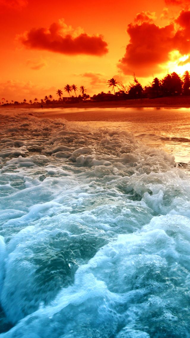 640x1136 Beach Awesome -  iPhone Wallpaper