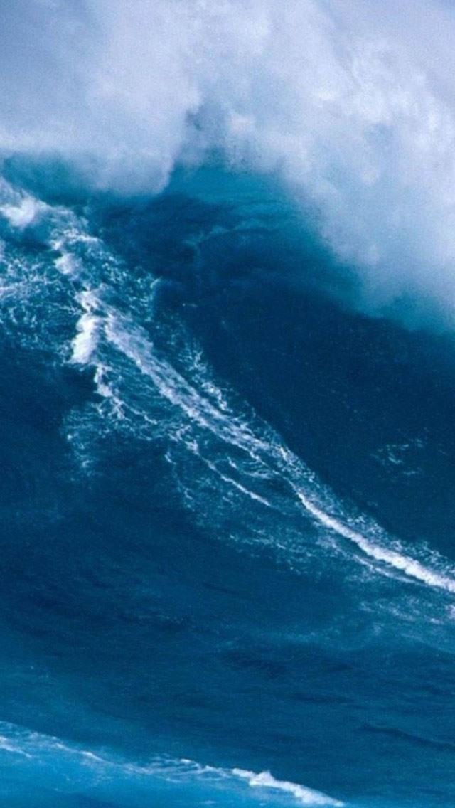 640x1136 Hawaiian Surfing - surfing iPhone Wallpaper