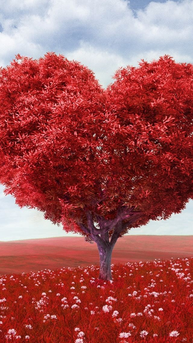 1284x2778 Valentines Day - heart iPhone Wallpaper