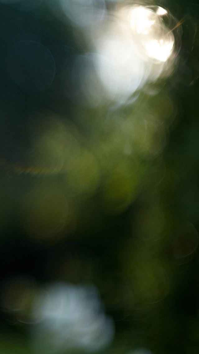 640x1136 Bokeh - bokeh iPhone Wallpaper