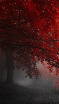 Best Stone Iphone Hd Wallpapers Ilikewallpaper