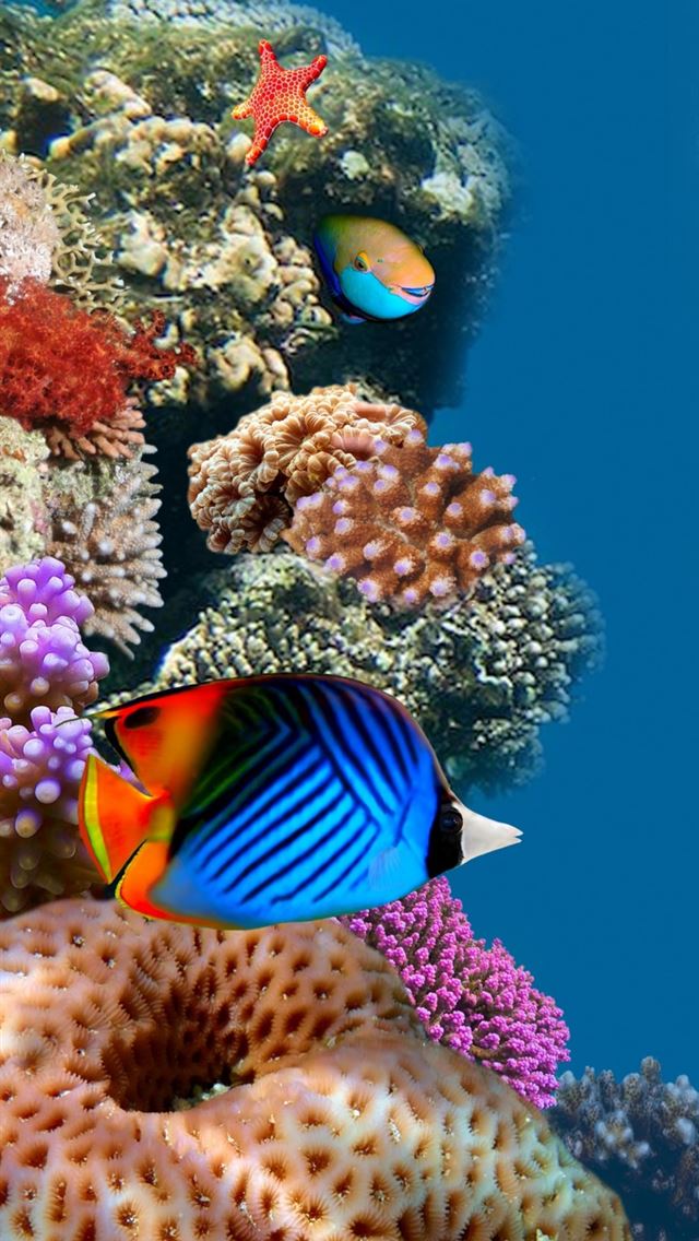 744x1392 Desktop Aquarium -  iPhone Wallpaper