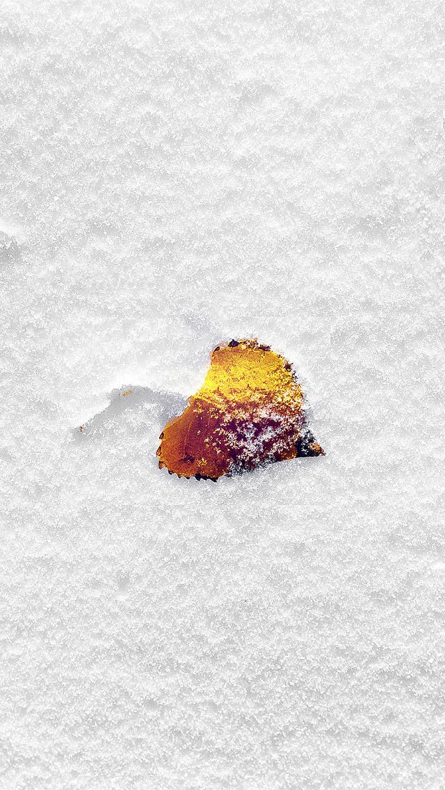 640x1136 yellow leaf in snow filed - snow iPhone Wallpaper
