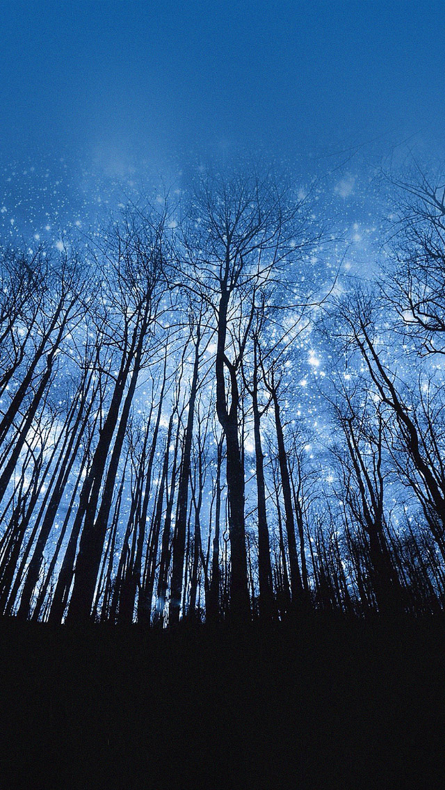 Starry Forest iPhone Wallpapers Free Download