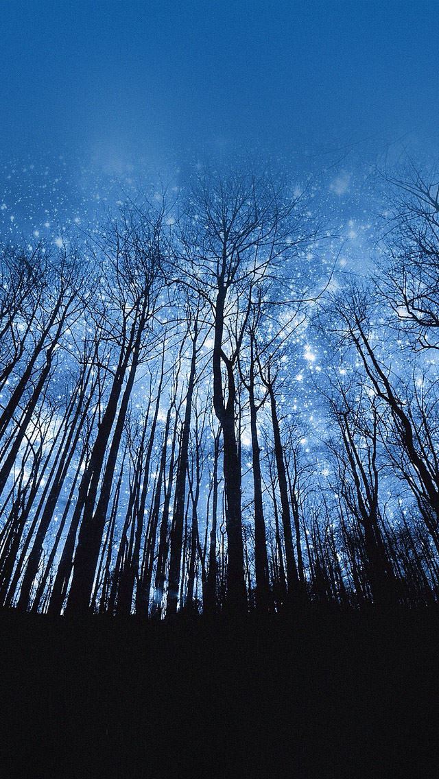 640x1136 Starry Forest - star iPhone Wallpaper