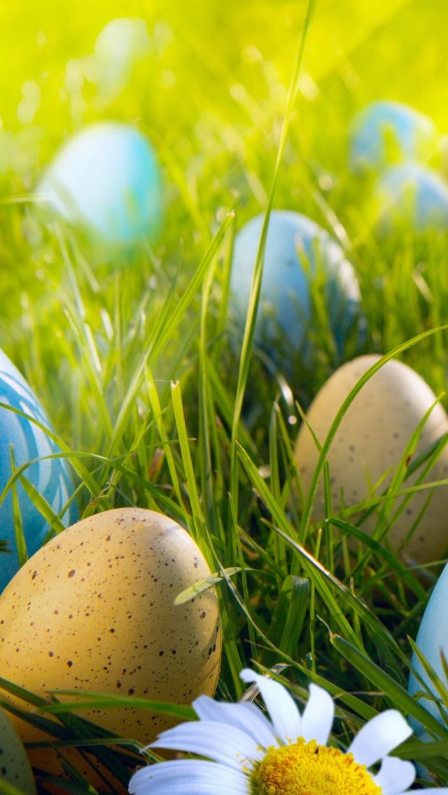 640x1136 Easter Egg Hunt - sunshine iPhone Wallpaper