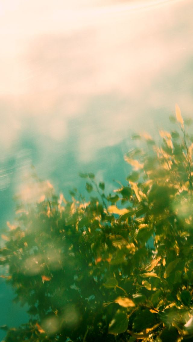 640x1136 river and tree - bokeh iPhone Wallpaper