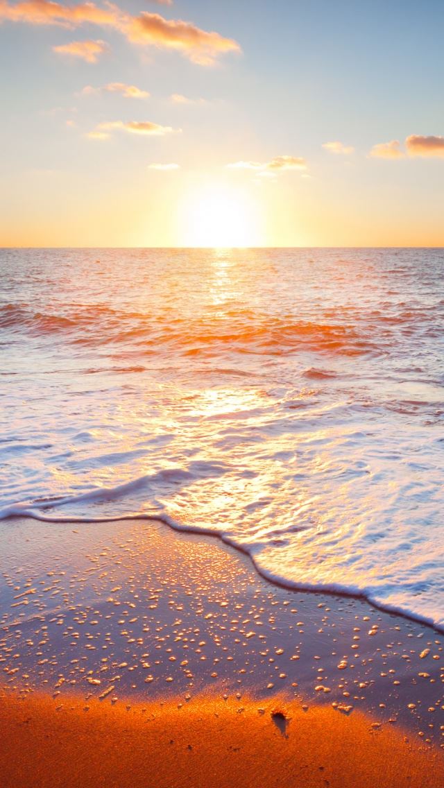 640x1136 Golden Beach - sea iPhone Wallpaper