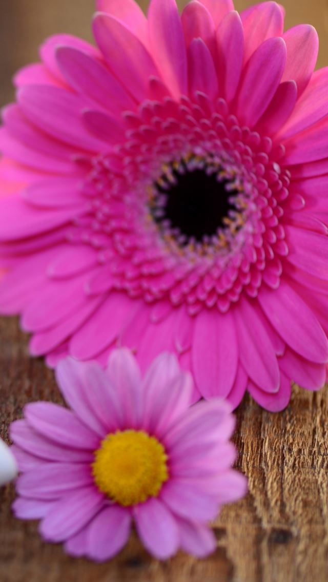 640x1136 Love Decoration - decoration iPhone Wallpaper