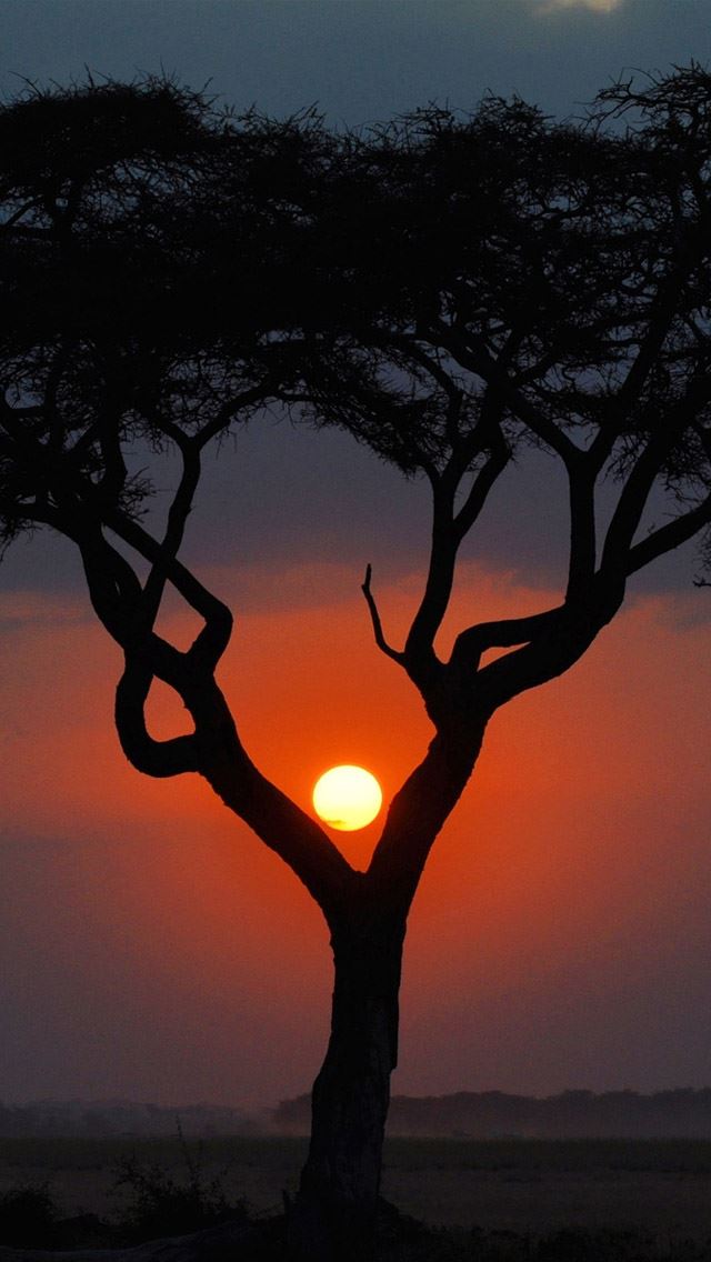 640x1136 Different Sunset - lockscreen iPhone Wallpaper