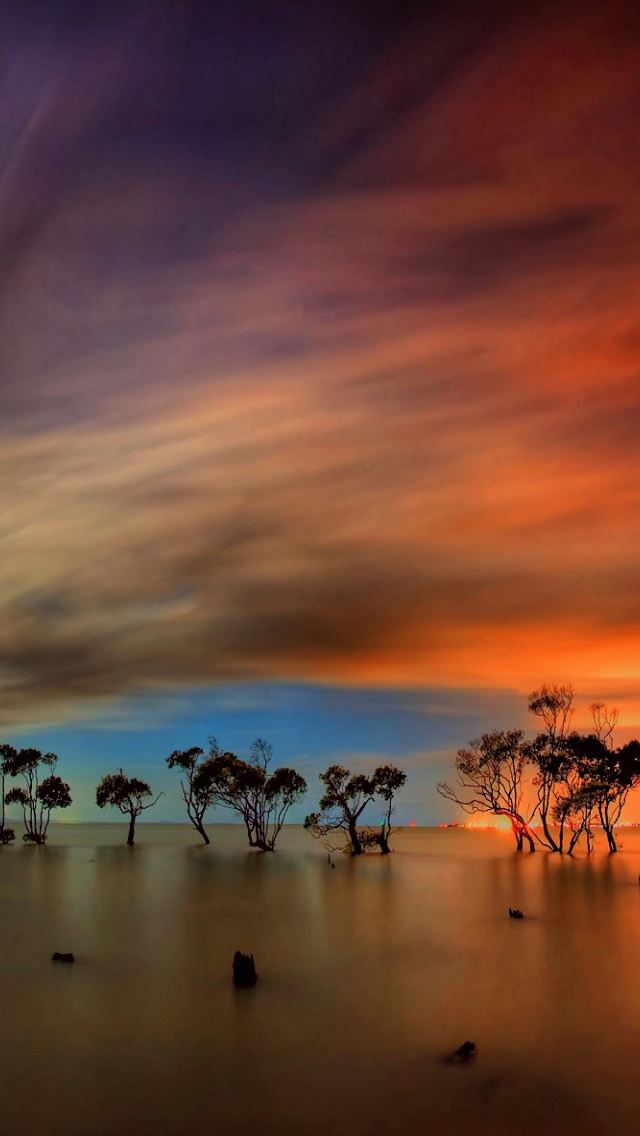 640x1136 Trees In The Sea Artistic - sky iPhone Wallpaper