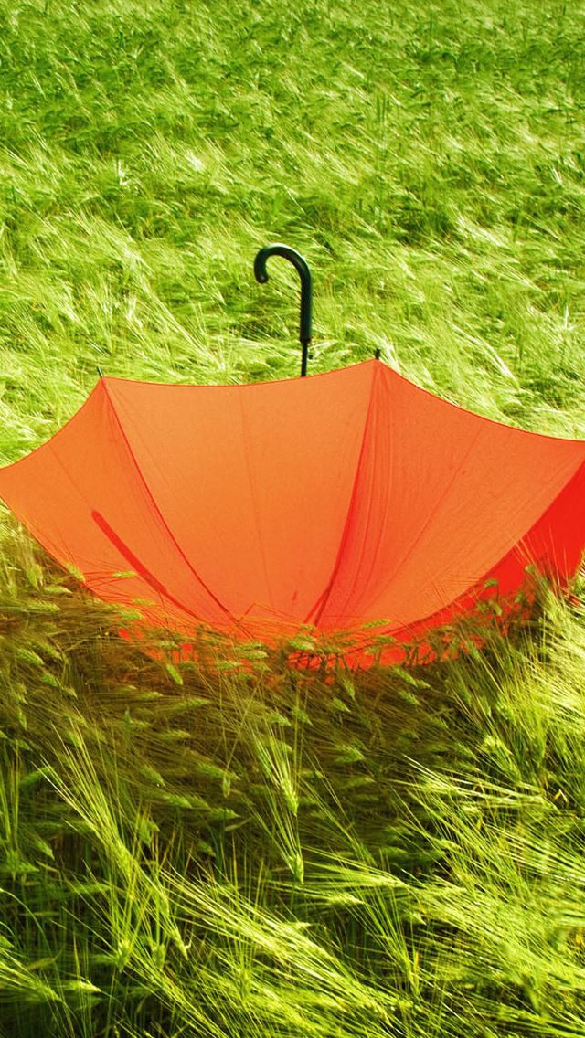 640x1136 Orange Umbrella On Wheat Field - umbrella iPhone Wallpaper