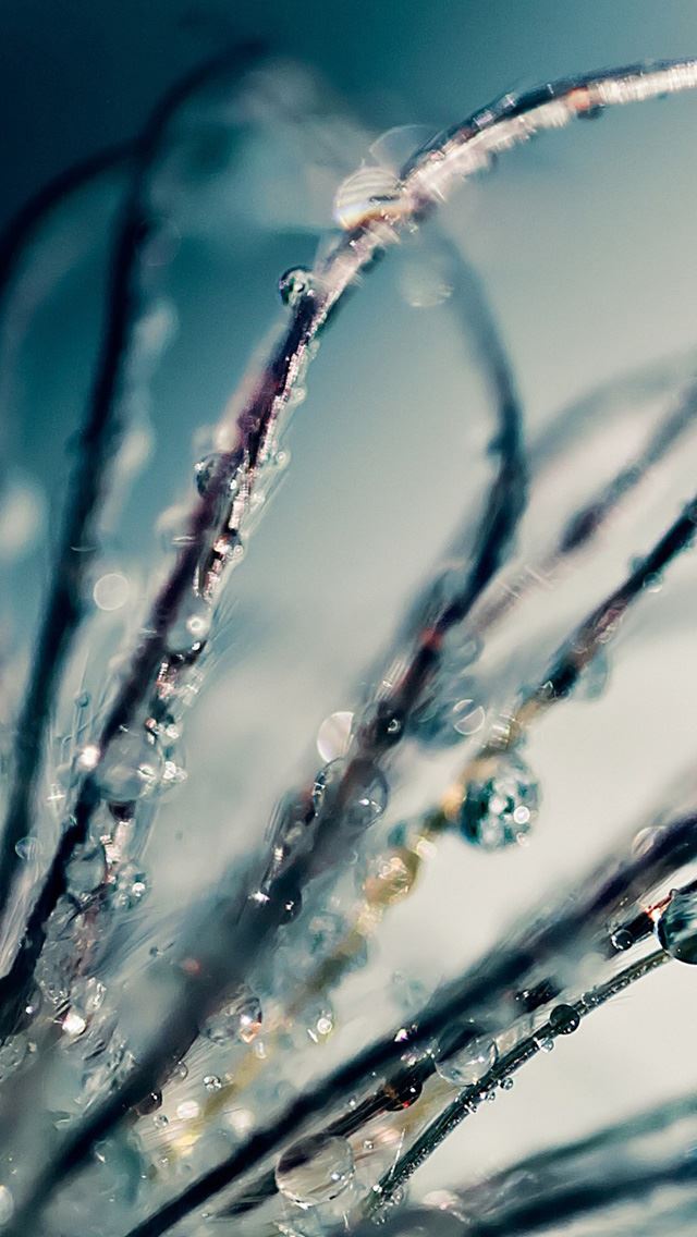 640x1136 Water drops - water drops iPhone Wallpaper