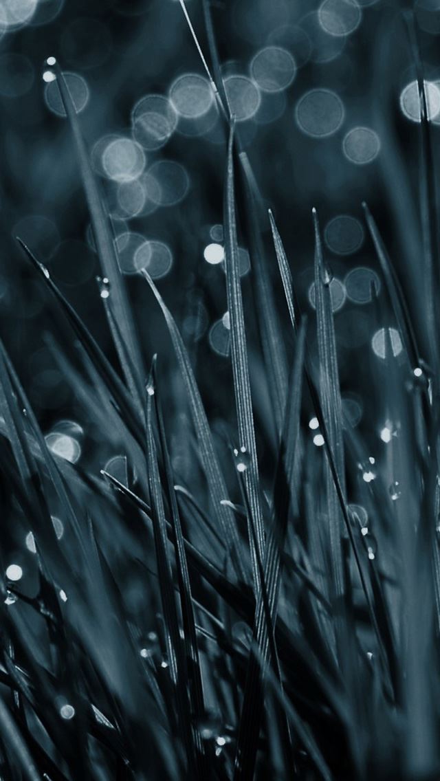 640x1136 Abstract grass -  iPhone Wallpaper