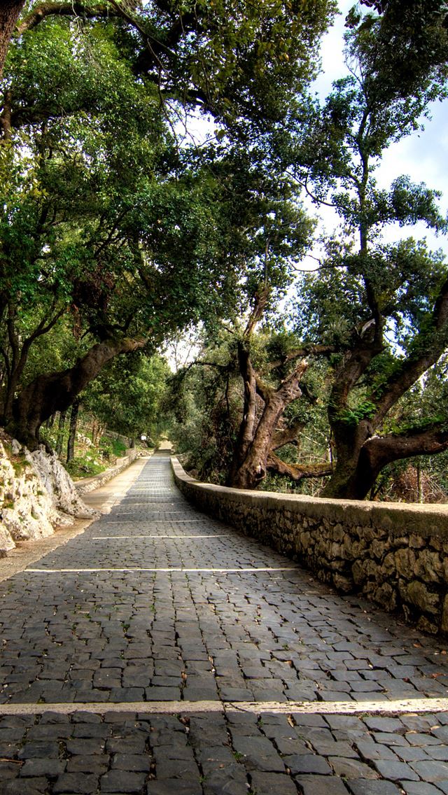 640x1136 Cobblestone path - path iPhone Wallpaper