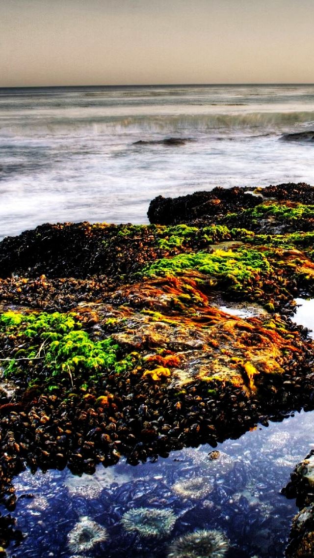 640x1136 Pebbles Beach - wave iPhone Wallpaper