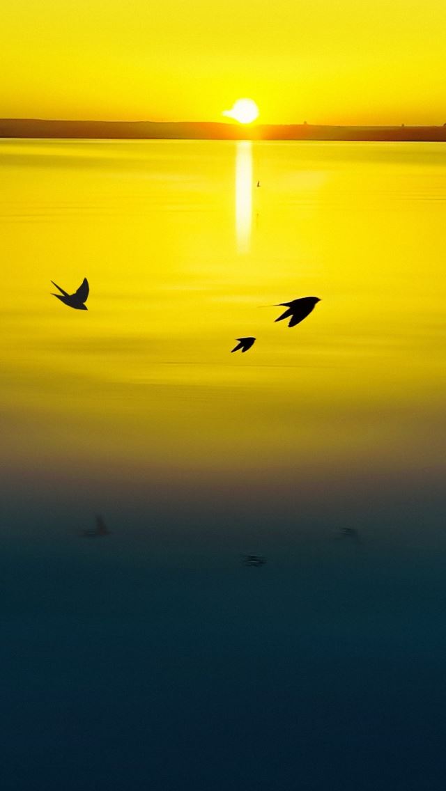 640x1136 Gold Sunset -  iPhone Wallpaper