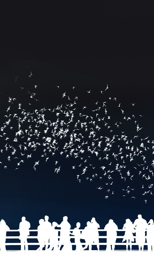 640x1136 Abstract Austin Texas Nightlife - citylife iPhone Wallpaper