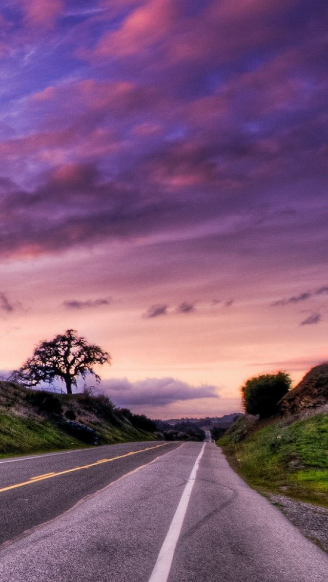 640x1136 Sunset Road Landscape - grass iPhone Wallpaper