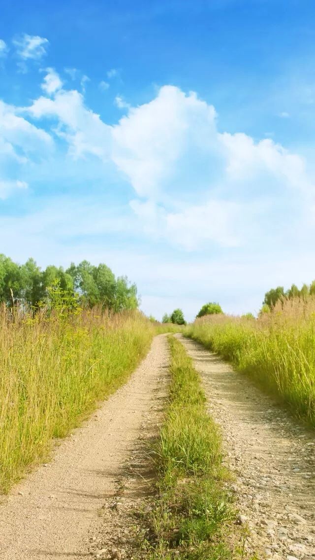 640x1136 Path - path iPhone Wallpaper