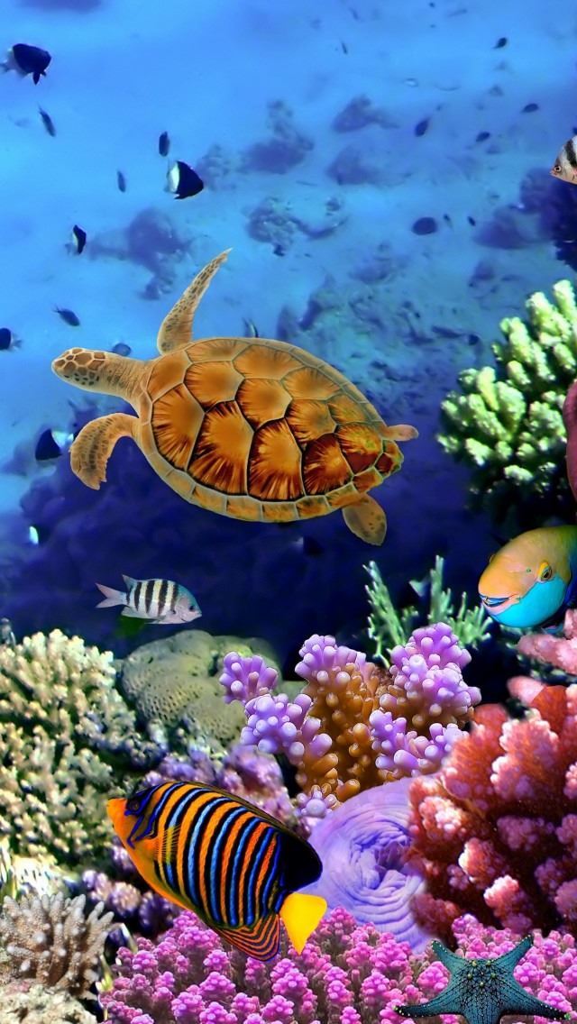 1284x2778 Seabed Fish - sea iPhone Wallpaper