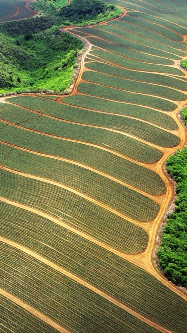 640x1136 Terrace - hillside iPhone Wallpaper