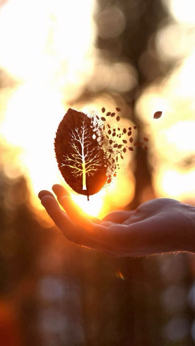 640x1136 Leaf art - hand iPhone Wallpaper